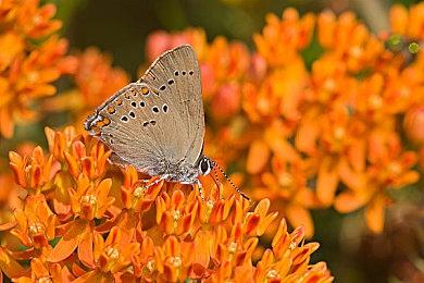 任天堂新一期直面会将会11月15日举行 时长约25分钟