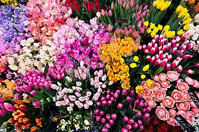 生存恐怖游戏《Flesh Made Fear》Steam页面开放 发售日待定