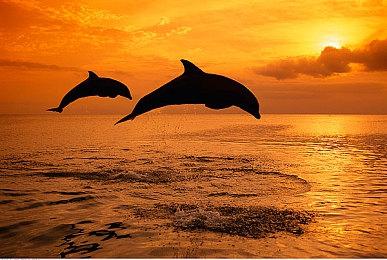 《双影奇境》被批女权主义 游戏总监：这到底什么鬼？